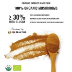 Qinshantang Ganoderma Nutrient Lucidum Powder Organic Low Price Reishi Wild Reishi Mushroom Extract Powder. for Dogs