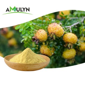 AMULYN Food Grade Natural Roxburgh Rose Extract SOD Powder Super Oxide Dismutase Vacuum Packed Drum Packaging