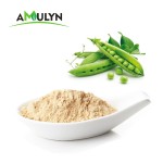 100% Organic Plant Protein Pea Powder Farina Di Pisello Peameal Bacon