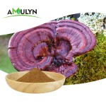 有机红灵芝灵芝粉灵芝提取物多糖30% 40% 50%