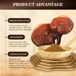 AMULYN Wholesale Natural Supplements Ganoderma Lucidum Extract 30% Polysaccharide Reishi Mushroom Powder