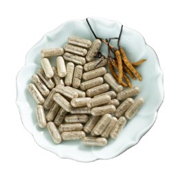 冬虫夏草胶囊蛹虫草胶囊冬虫夏草凝胶
