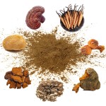 AMULYN OEM Mushroom Coffee Lion's Mane Coffee 6 Mushroom Supplement 7 Mushroom Coffee