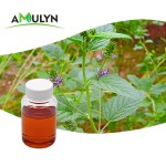 AMULYN白藜芦醇制造商供应化妆品级白藜芦醇油液体补骨脂白藜芦醇提取物98%