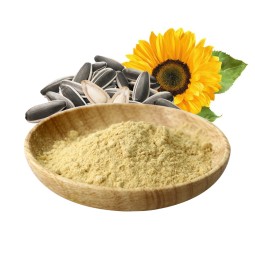 Sunflower Lecithin High Quality Organic Sunflower Lecithin Powder 25kg Bulk Sunflower Lecithin Price for Food Supplements
