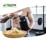 100%有机水解豌豆蛋白肽食品级有机豌豆蛋白肽浓缩粉