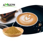 AMULYN纯蒲公英根提取咖啡类黄酮粉