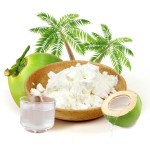 AMULYN Ex-Factory Price Hydration for Workout Coconut Water Powder
