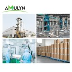 AMULYN Pure Natural Gluten Free Vegan Hydrolyzed Organic Rice Protein Powder
