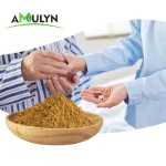 Wholesale Food Grade Passion Flower Extract Powder High Quality Herbal Extract in Vacuum Packed Drums