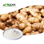 Instant Chicory Coffee Powder India Chicory Powder