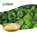 天然胡椒根提取物卡瓦提取物粉卡瓦内酯10% 30%