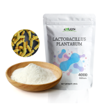 AMULYN植物乳杆菌益生菌粉末优质白色粉末外观