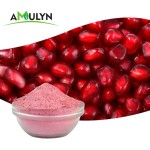 AMULYN Organic Freeze Dried Pomegranate Juice Powder