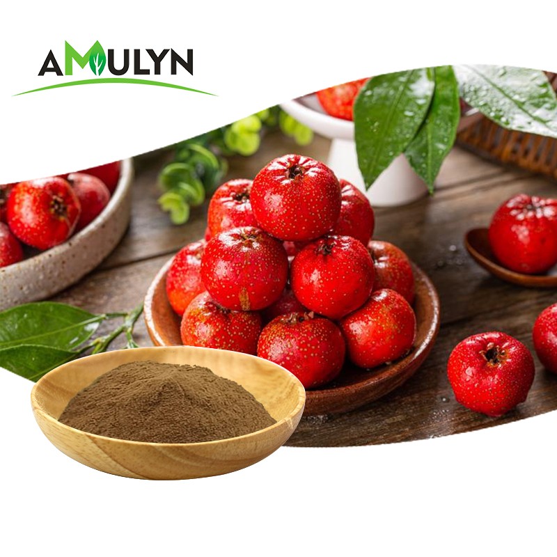 AMULYN Hawthorn Berry Extract Juice Powder Hawthorn Flavonoids Vitexin Rhamnoside 2%