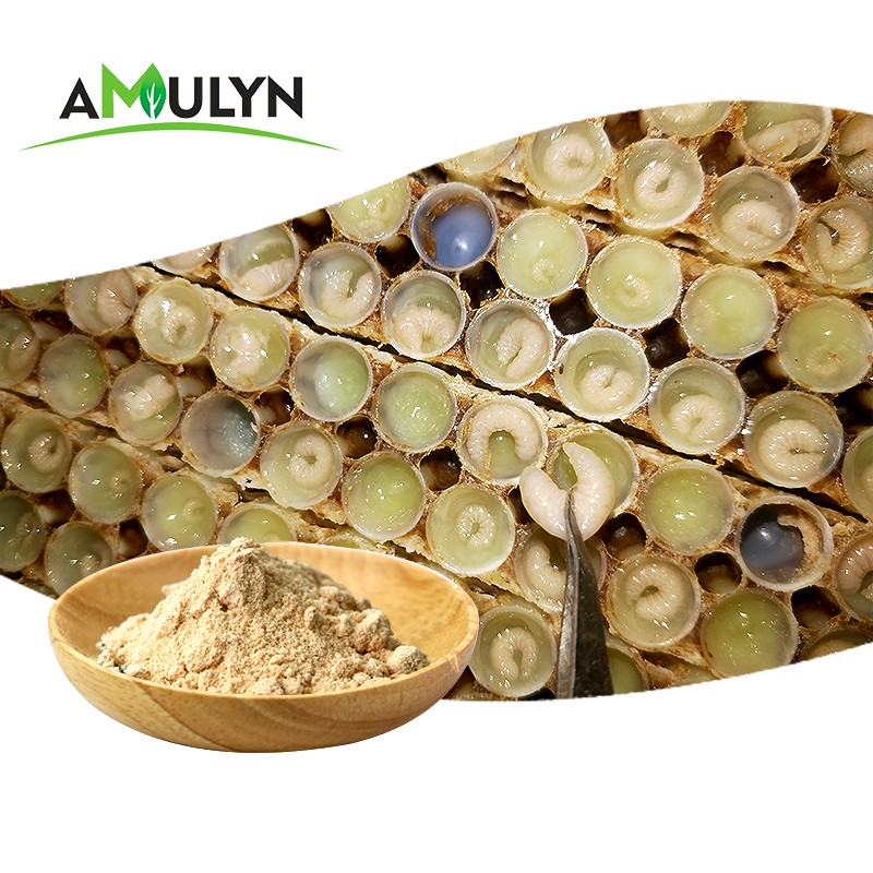 AMULYN Manufacturers Supply Natural Supplements Lyophilized Queen Bee Larva Powder