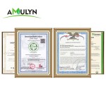 AMULYN Dietary Supplement GMFO09 Enzymolysis Oat Milk Powder for Solid Drink