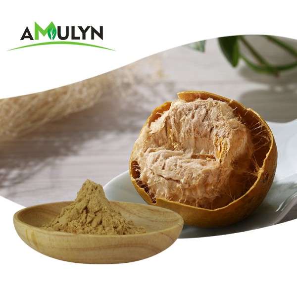Natural Sweetener Organic Monk Fruit Powder Luo Han Guo Erythritol Sugar Substitute