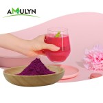 AMULYN Vacuum Spray Dried Freeze Dried Red Dragon Fruit Powder