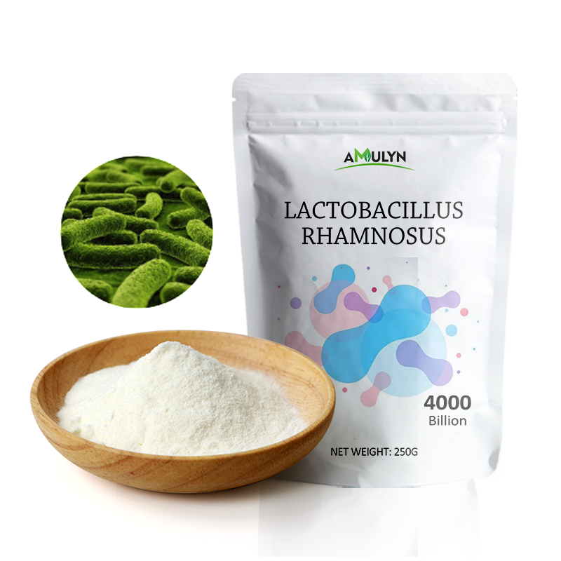 AMULYN  Food Additives Probiotic Lactobacillus Rhamnosus Powder for Constipation Management