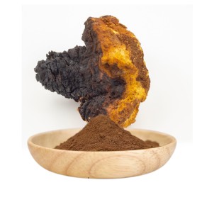 AMULYN Certified Organic Mushroom Extract 30% Polysaccharides Chaga Extract Chaga Powder