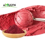 Amulyn食品植物提取物营养补充剂100%天然纯甜菜根提取物