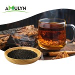 AMULYN Supply Wholesale Food Grade Chaga Black Gold Powder Tea Bags Natural Chaga Extract Granules