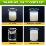 Best Price Organic Hydrolyzed Pea Protein Isolate Powder 80% Food Herbal Extract Various Packings Bottle Drum Can Vacuum Packed