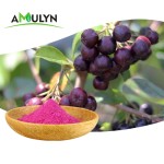 Natural Freeze Dried Acai Berry Fruit Powder Brazil Freeze Dried Powder