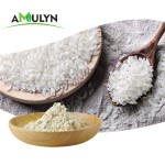 AMULYN Pure Natural Gluten Free Vegan Hydrolyzed Organic Rice Protein Powder