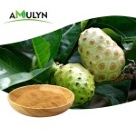 Amulyn Factory Supply Food Grade Noni Extract Powder Best Price Natural Noni Fruit Juice Powder Vitamin Available Bottle Drum