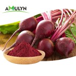 Amulyn食品植物提取物营养补充剂100%天然纯甜菜根提取物