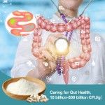 AMULYN高品质冻干粉益生菌白色外观制造商直接定价