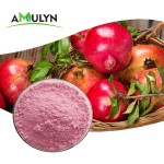 AMULYN Organic Freeze Dried Pomegranate Juice Powder