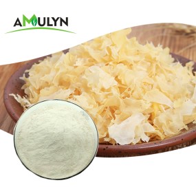Best Seller Tremella Mushroom Extract Powder Polysaccharide Powder 10%-80%