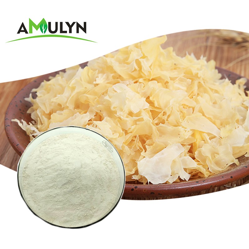 Best Seller Tremella Mushroom Extract Powder Polysaccharide Powder 10%-80%