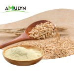 AMULYN High Quality OEM Oat Milk Powder Food Grade Vitamin Active Ingredient HPLC Tested Your Logo Canned Oat Powder MOQ 1kg