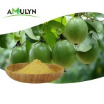 Food Grade Passion Fruit Powder Fresh Flavor Instant Juice Extract in Bulk Supply Can Packaging with Vacuum Packed Ingredients