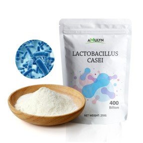 Food Additive Probiotics Powder Lactobacillus Casei for Dairy Products