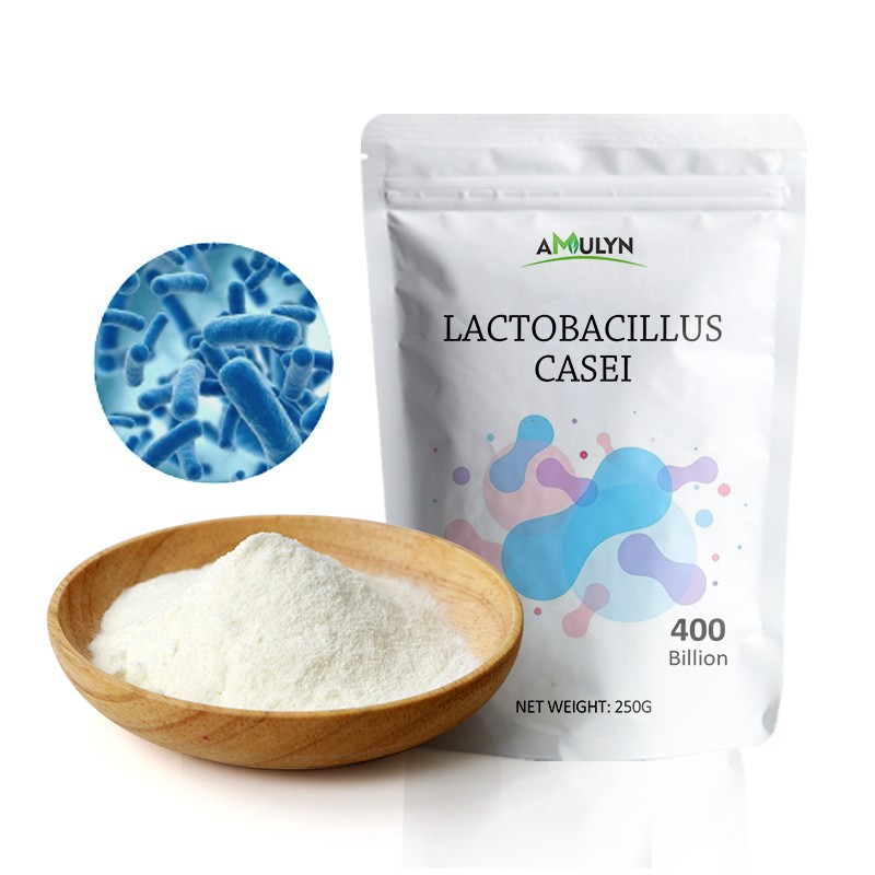 Food Additive Probiotics Powder Lactobacillus Casei for Dairy Products