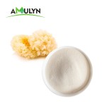 Best Seller Tremella Mushroom Extract Powder Polysaccharide Powder 10%-80%