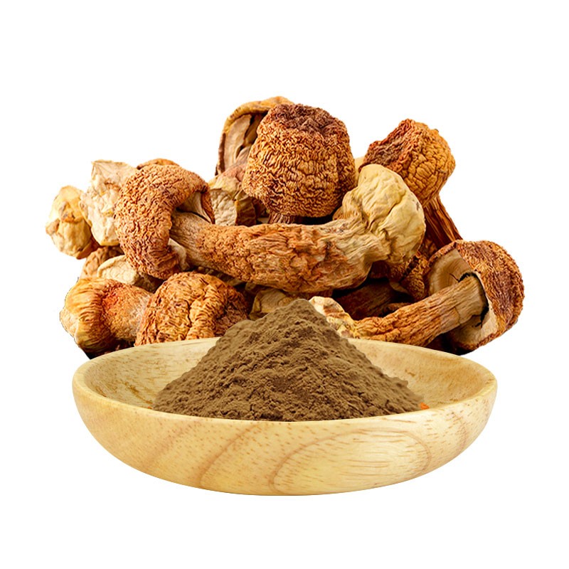 AMULYN Natural Food Grade Herbal Extract High Quality Agaricus Blazei Murill Powder in Drum Packaging