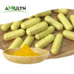 供应烟树提取物非西汀粉末85%外部标准
