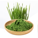 AMULYN Best Price 100%  Organic Green Wheat Barley Grass Juice Powder
