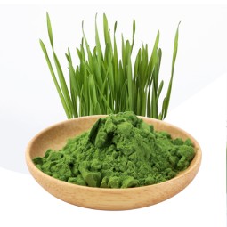 AMULYN最好的价格100%有机绿色小麦大麦草汁粉