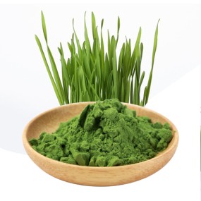 AMULYN最好的价格100%有机绿色小麦大麦草汁粉