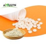 AMULYN High Quality Plant-Based Watermelon Seed Extract Protein Powder Natural Food Additives