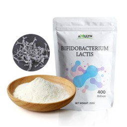 AMULYN Food Grade Probiotics Powder Bulk Freeze Dried Bifidobacterium Lactis White Powder for Gut Health
