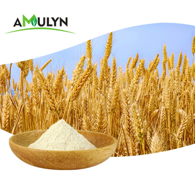 Supply Hydrolyzed Wheat Protein Powder With Best Price
