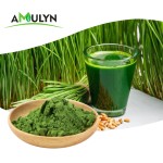 AMULYN Best Price 100%  Organic Green Wheat Barley Grass Juice Powder